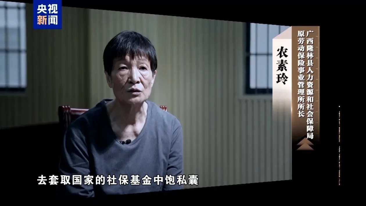 向灵活就业养老金“伸手” 终成阶下囚