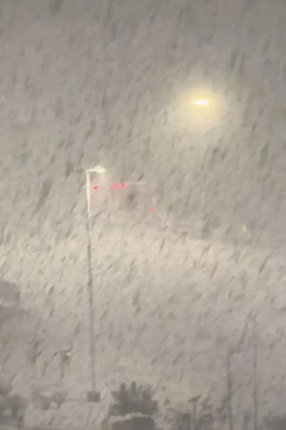 山东威海、烟台降下冷流雪 今天这些地方还有大到暴雪→