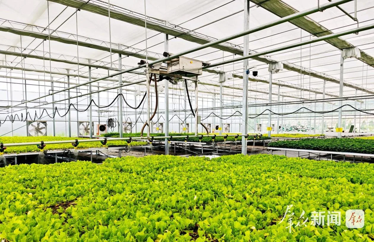 乘“数”而上 借“智”升级——数字化赋能陕西经济社会高质量发展