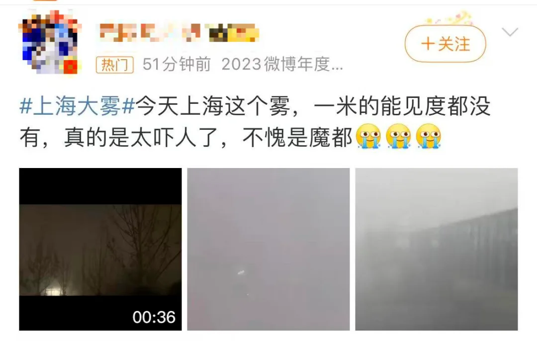 浦东航班大面积延误取消!迪士尼城堡“被偷”！上海就像“迷雾森林”！