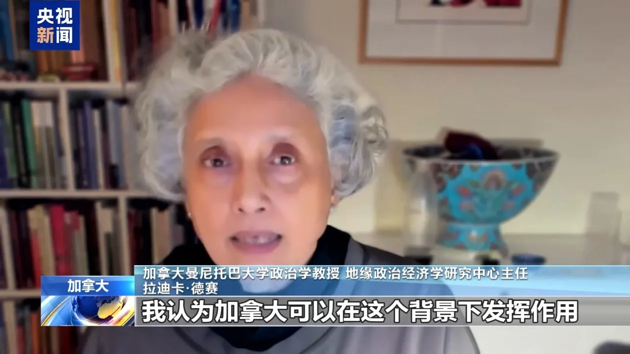 学者：推进加中关系将为企业带来机遇 两国合作潜力巨大